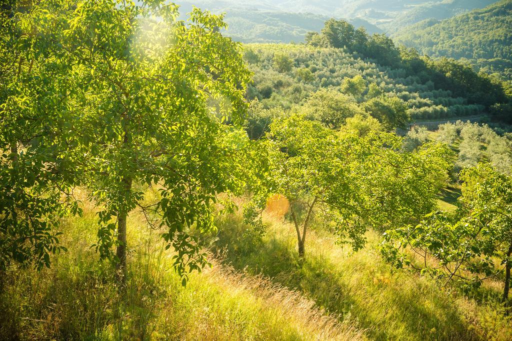 Podere Poggio Mendico Vila Arezzo Exterior foto