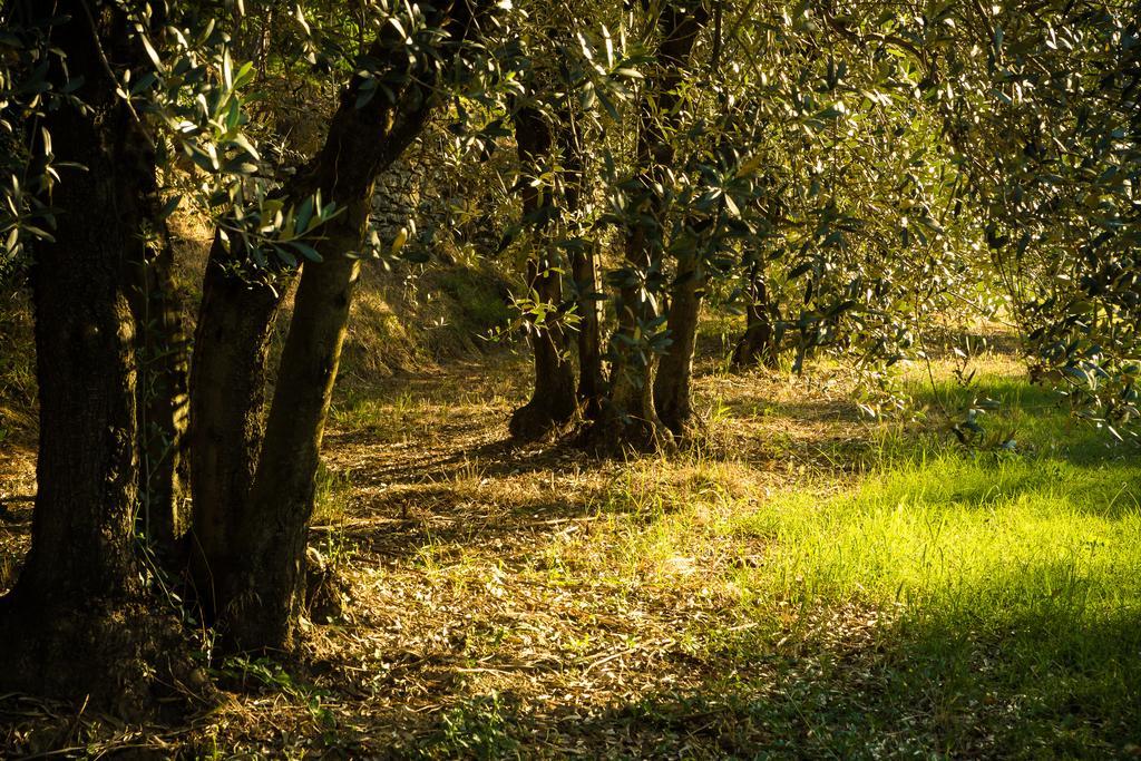 Podere Poggio Mendico Vila Arezzo Exterior foto