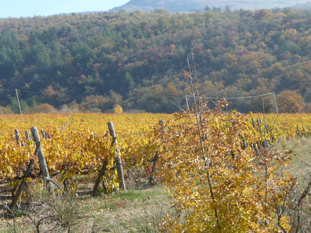 Podere Poggio Mendico Vila Arezzo Exterior foto